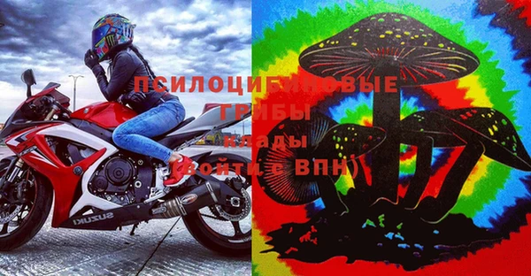 jwh Алзамай