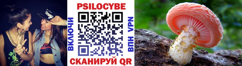 цены   Кольчугино  Псилоцибиновые грибы Magic Shrooms 